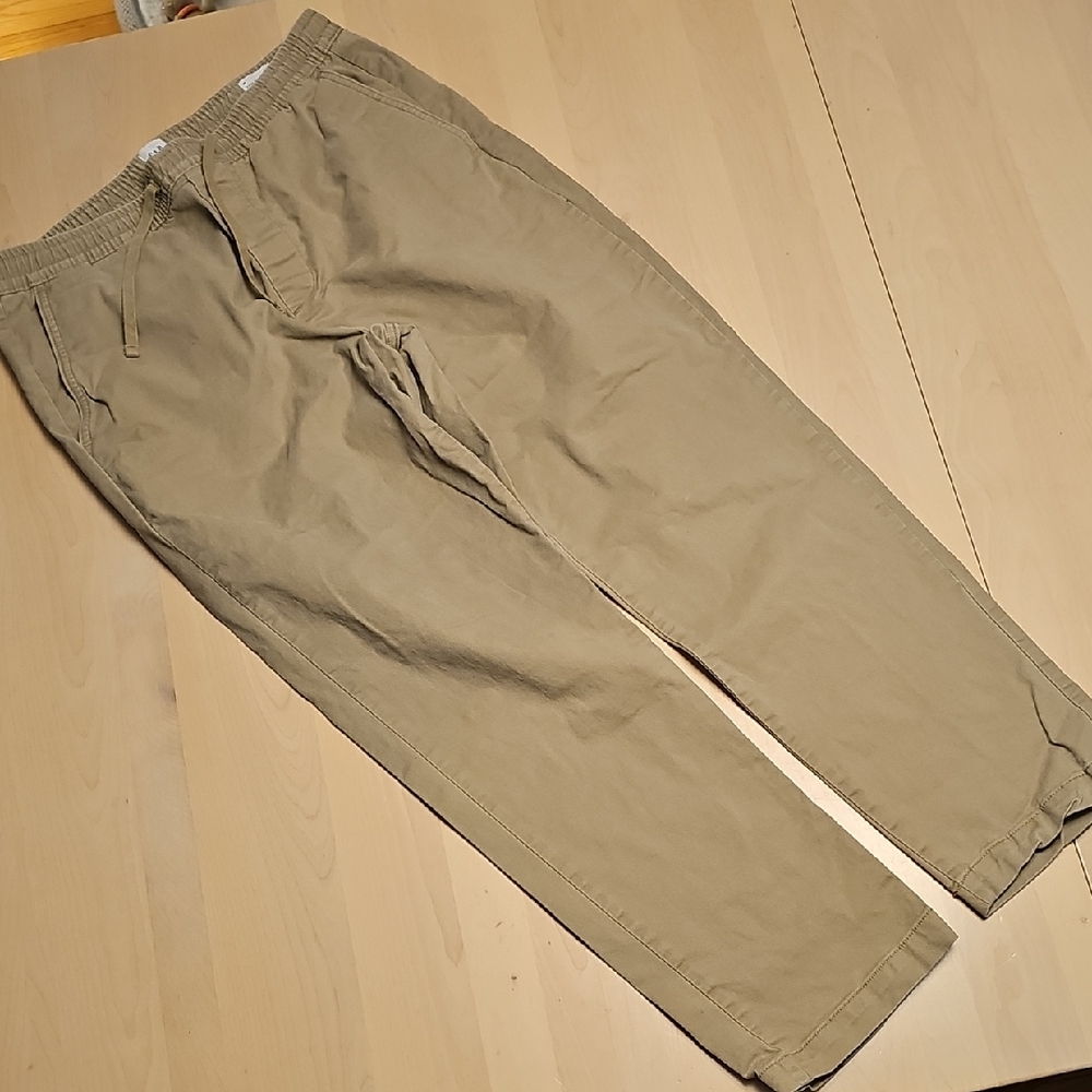 GAP Men's Khaki Chinos